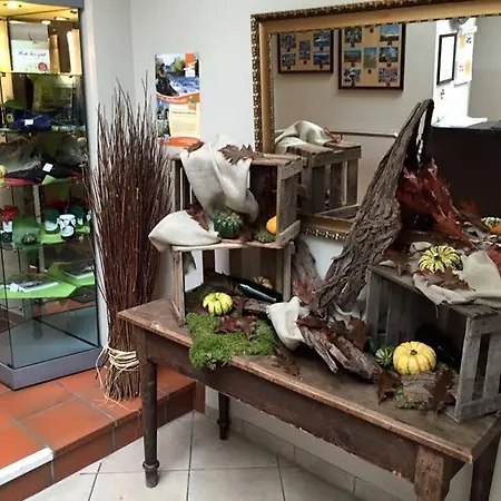 Hotell Burgklause Nickenich